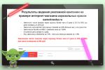 Результаты ведения рекламной кампании (подробный отчет)