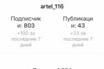   artel116.ru