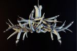 Superordinate Antler Lamps by Jason Miller