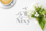 Nixy Fashion Logo