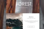 Forest - wild tour