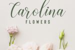      Carolina flowers
