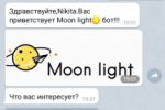 Чат бот
