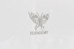    "FlyAgent"