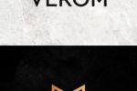 дизайн логотип строительной компании "VEROM"