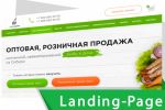 Landing Page " "         10 