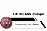 Lotos Furs | SMM