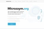 Microzaym