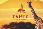    "Tameri"