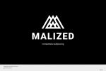 Логотип Malized