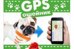    GPS 