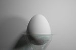 an egg in correx