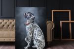 Digital Dog Oil (цифровой портрет)