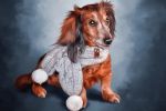 Digital Dog Oil (цифровой портрет)