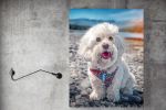 Digital Dog Oil (цифровой портрет)