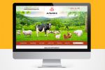 Дизайн сайта - каталога мясной продукции
