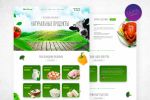 Organic Food | Web site design