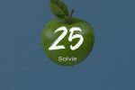 25 - Solvie