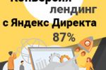 Конверсия лендинга с Директа 87%
