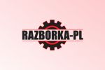 Логотип для корпоративного сайта Razborka-PL