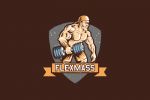 FLEXMASS - эмблема клуба