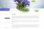 Дизайн сайта, продажа растения "РОЗМАРИН"