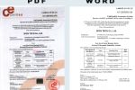   PDF    WORD