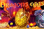 Dragons eggs -    