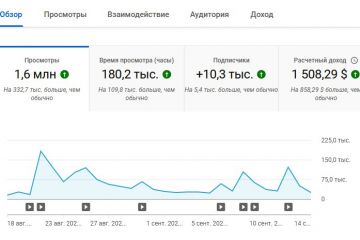 Результат работы на YouTube канала-партнера за последний месяц