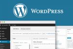 How to Easily Display Code on Your WordPress Site