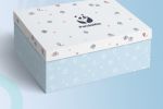 дизайн подарочной коробки панда