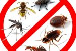 Уничтожение тараканов в Казани