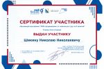 Сертификат СММ 2021