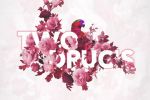 Two Drug's