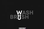 wash brush
