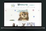 Seo-продвижение сайтов. Магазин кошек.