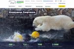 Сайт Ленинградского зоопарка (UX/UI, проектирование, ре дизайн) 
