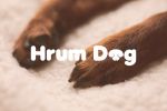      "Hrum Dog"