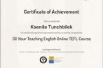 Международный сертификат Online TEFL Course