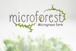     "Microforest"