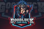 Good luck cyber arena