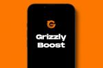 Интернет-магазин «Grizzly Boost»