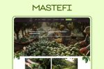 Mastefi -       