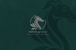 Silver groove |    /FCI