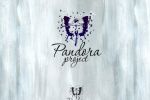 Pandora project