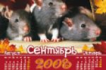 Перекидной календарь "Год крысы"