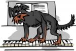 Шла собака по роялю