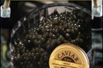 Caviar House 3