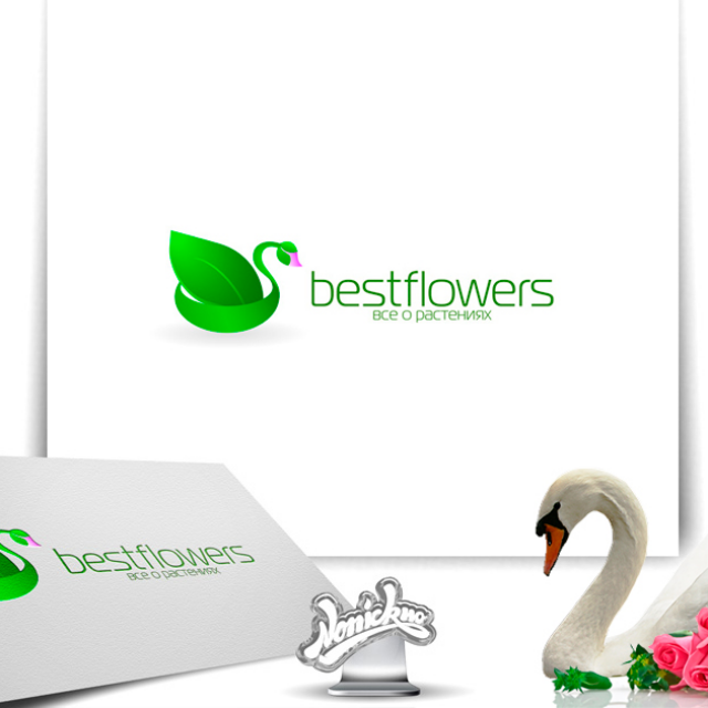 Bestflowers