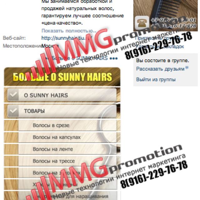 Sunny Hairs -   